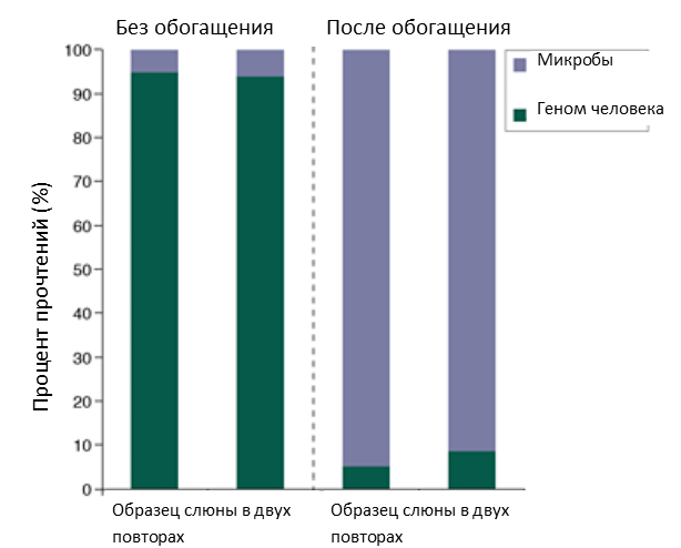 обзор_NEBNext2.png обзор_NEBNext2.png