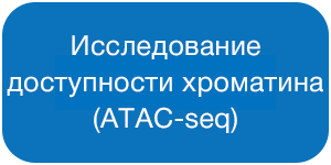 Исследование доступности хроматина (ATAC-seq).png