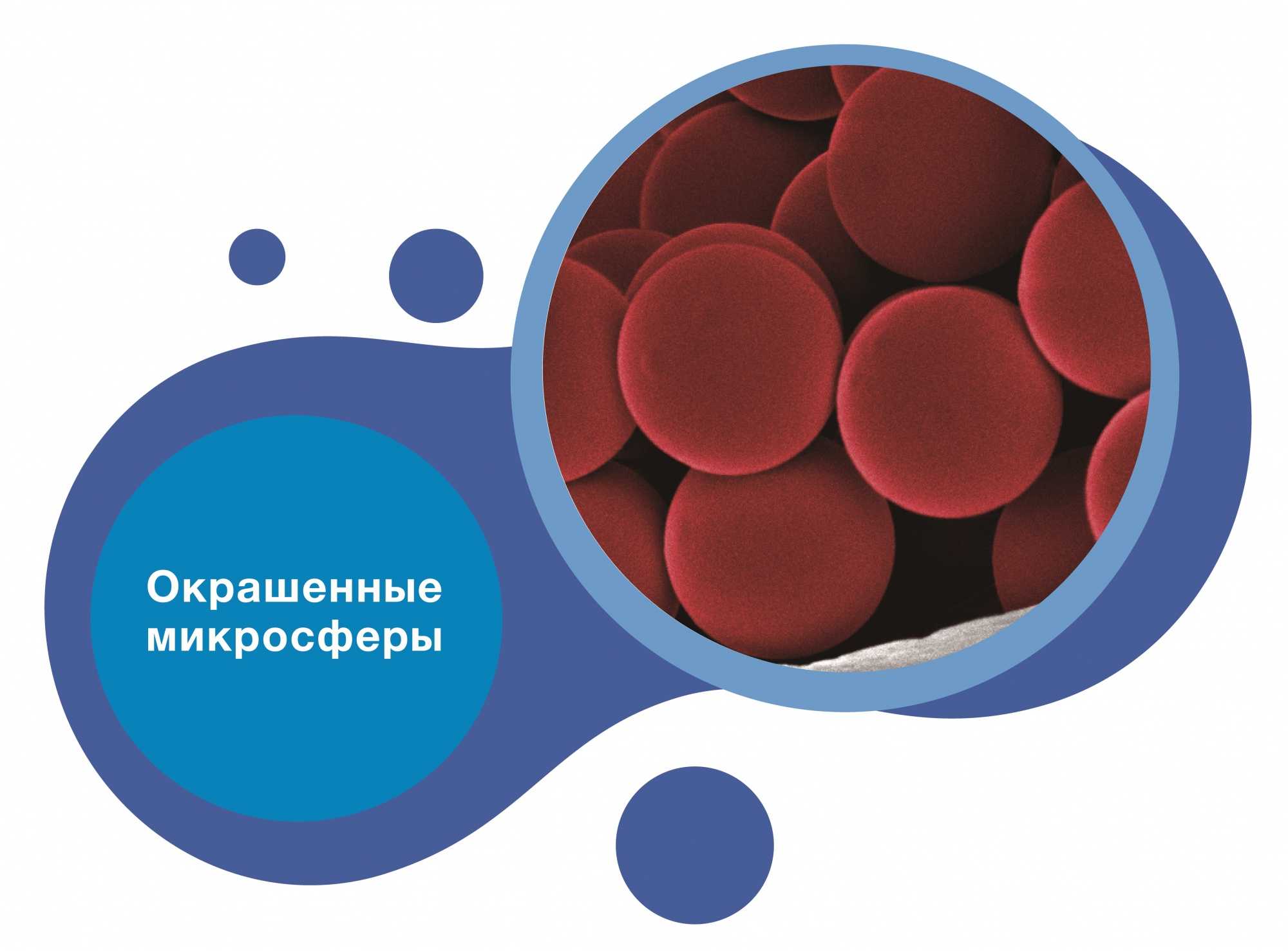 Окрашенные микросферы.jpg
