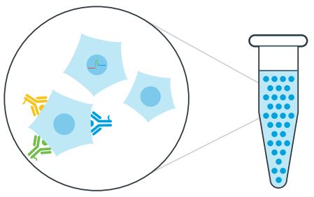 3-экспрессия образец.JPG