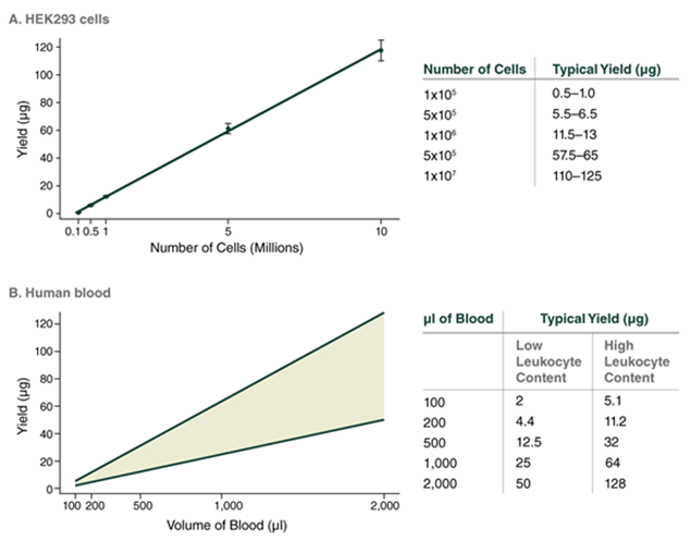 Рис 5. Линейная зависимость между выходом ДНК и объемом исходного образца клеток и крови..png