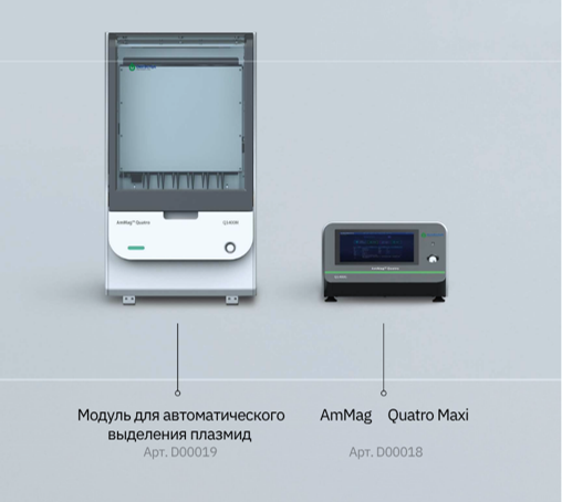 AmMag  Quadro Maxi1.png
