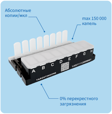 Digital PCR_чип.png