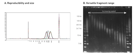 Воспроизводимость результатов на приборе Megaruptor® 3.png