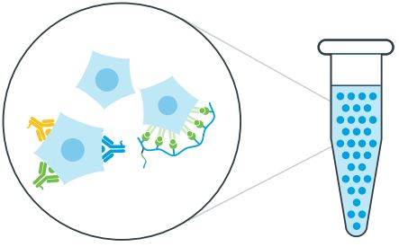 5-экспрессия образец.JPG