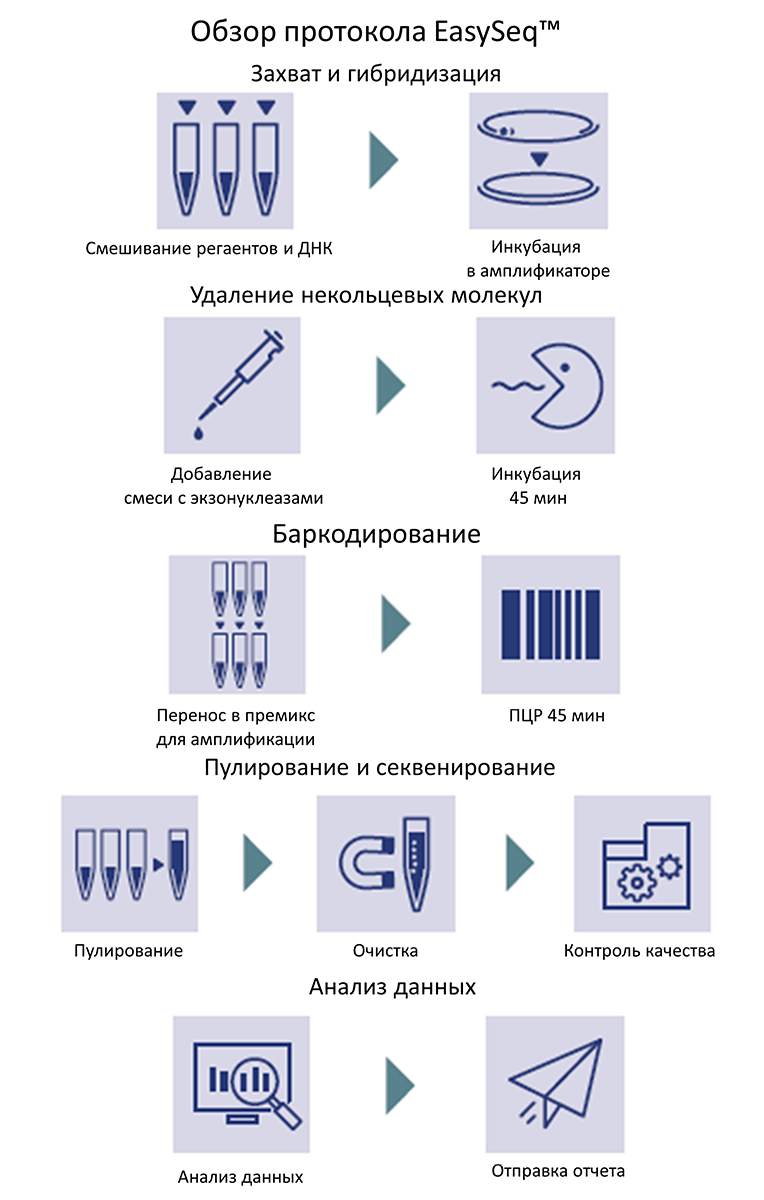 Обзор протокола EasySeq.png