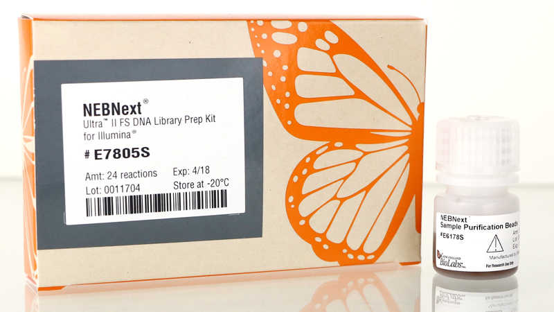 Набор NEBNext® Ultra™ II FS с фрагментазой для создания библиотек ДНК для платформы Illumina®