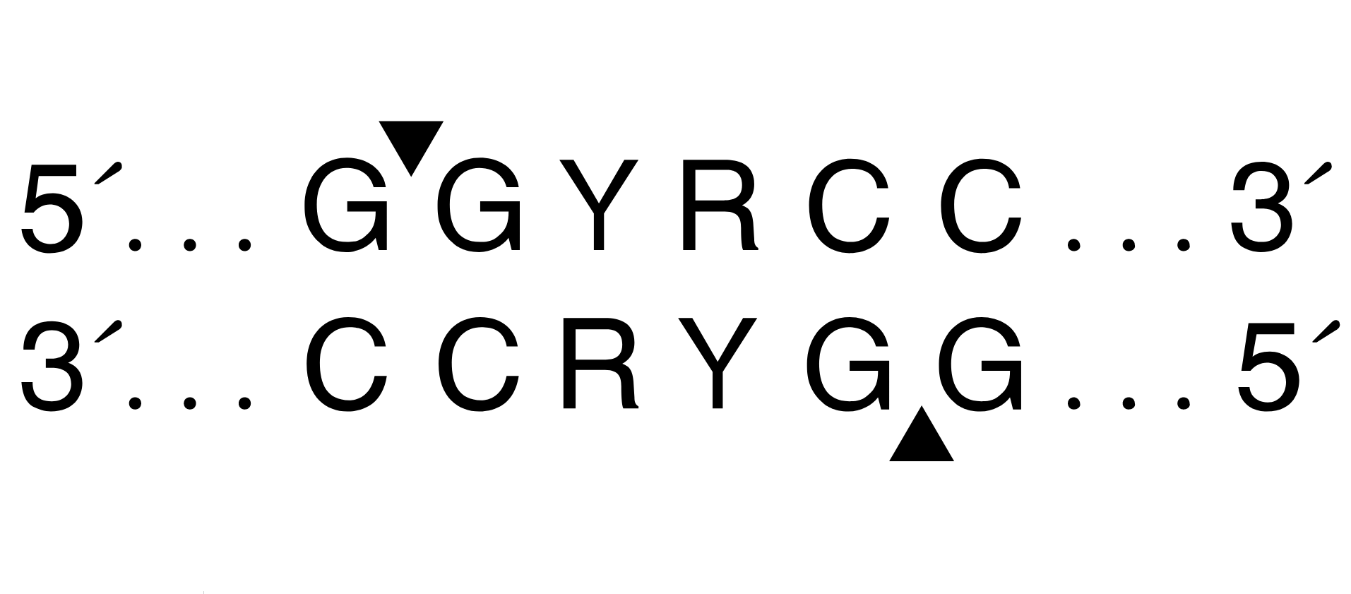 сайт рестрикции BanI