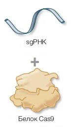 Форма доставки.jpg