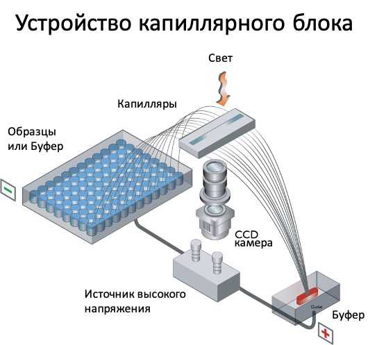 Agilent Fragment analyzer