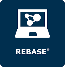 Rebase