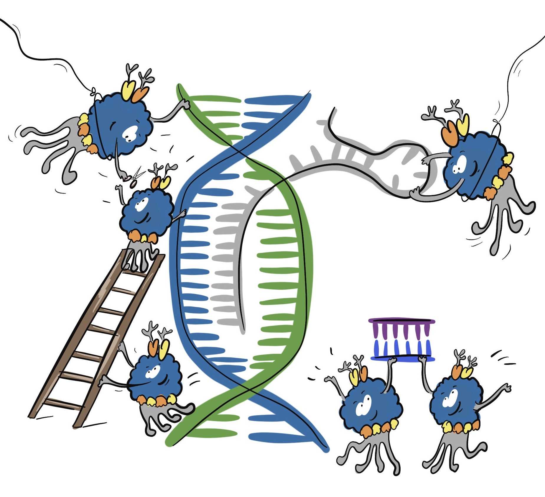 CRISPR-Cas9.jpg