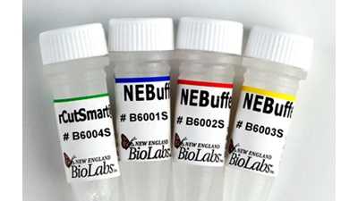 Набор NEB-буферов (r1.1, r2.1, r3.1. и rCutSmart®)