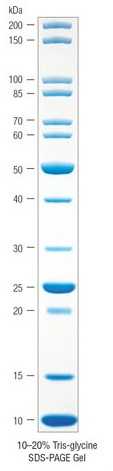 Маркер молекулярной массы белков широкого спектра (10-200 кДа), неокрашенный (арт. P7717 L/S)