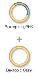 Форма доставки.jpg