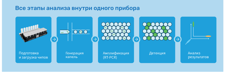 Digital20_схема процессов.png