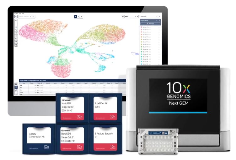 single cell gene expression.JPG