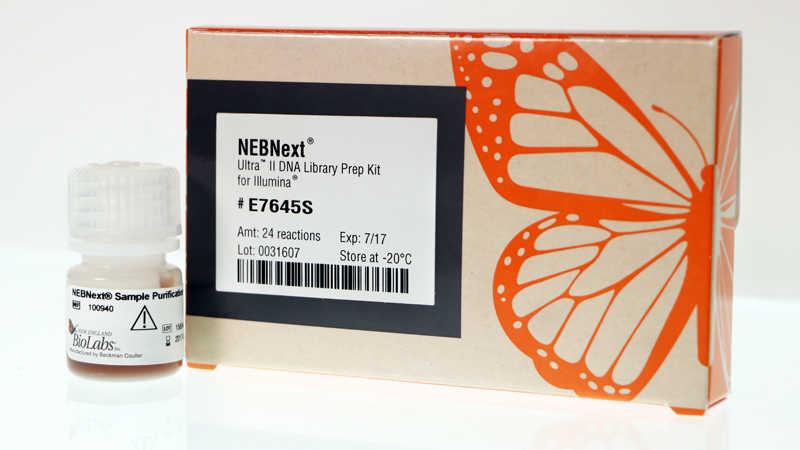 NEBNext Ultra II DNA Library Prep Kit.jpg