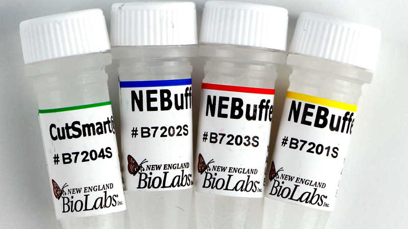 England biolabs
