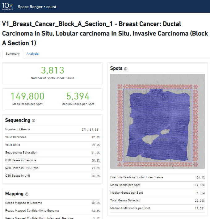 Пример отчета, сформированного программным обеспечением Space Ranger